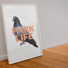 Blur, Park Life, Song lyric