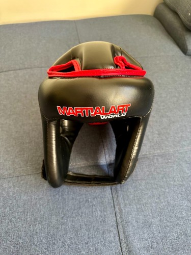 Martial art world head guard - martial,
