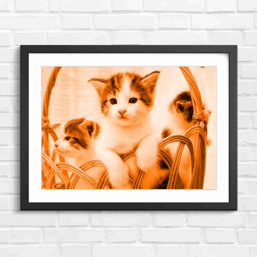Adorable kittens wicker - kittens,