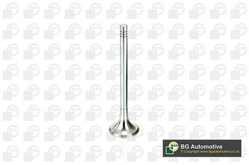 Exhaust valve for - exhaust,