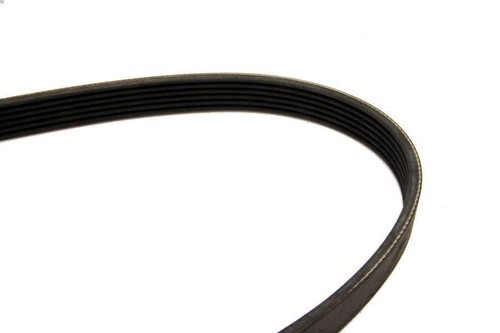 Ribbed bel for - v-ribbed,