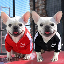 Baseball Dog Jacket Sweatshirt for French Bulldog Chihuahua Pug UK