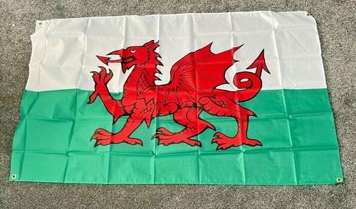 Wales pub display - wales, rugby
