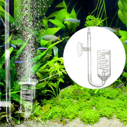 Fish tank aquarium plant glass - aquarium,