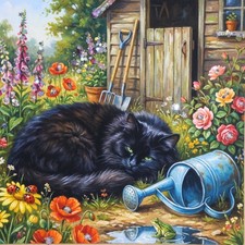 Black cat Flower Blank Card