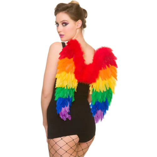 Rainbow parrot feather wings - parrot,