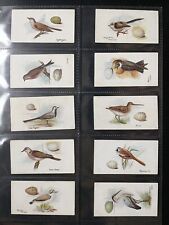 Lambert and butler  Birds & There Eggs Original Set 50 Cigarette Cards 1906 .