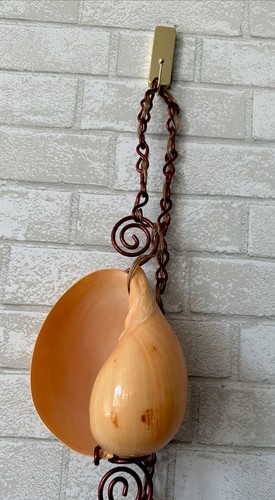 Coastal conch shell swag lamp - shell,