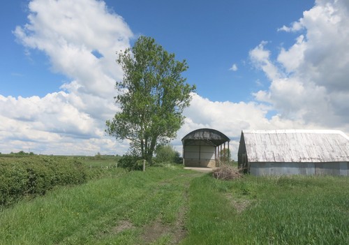 Photo 6x4 barn and shed - 6x4,