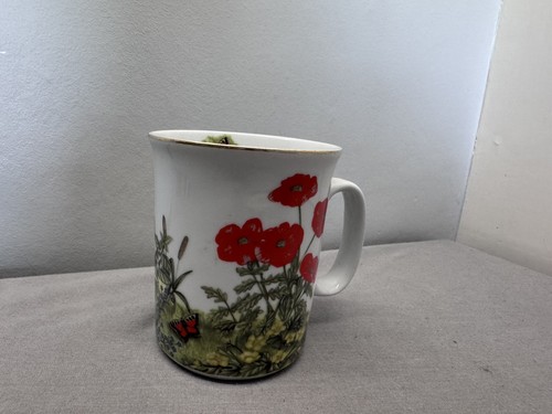 Poppy poppies wildflowers - , and