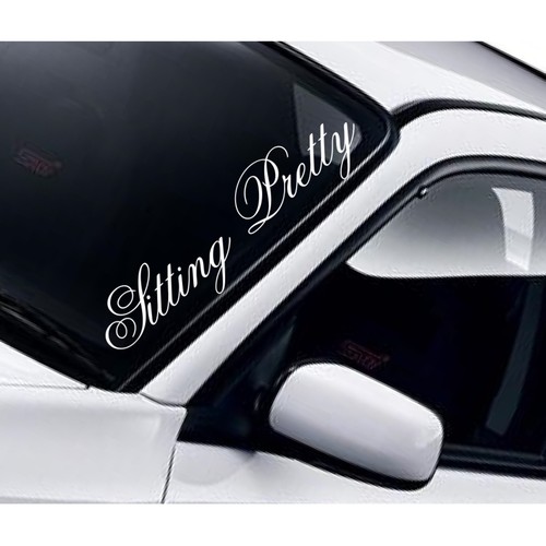 Sitting pretty windscreen - sitting,