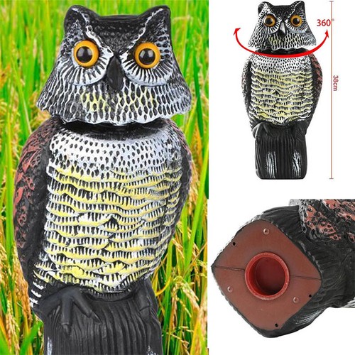 Realistic owl decoy deterrent - realistic,