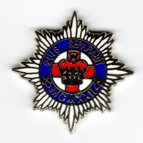 Enamel lapel badge - enamel,