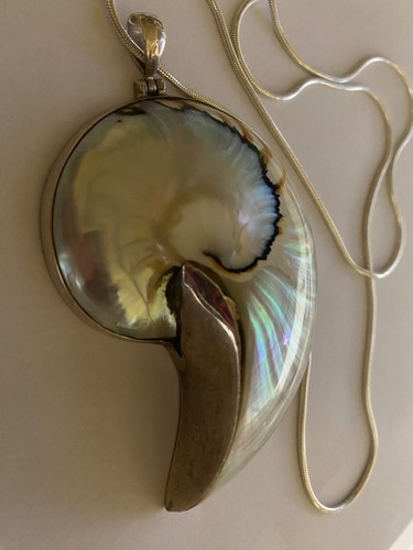 Large ammonite fossil - large, pendant