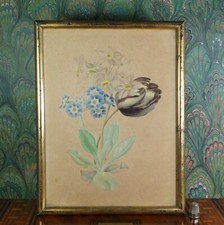 19th Century Watercolour