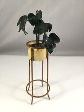 Dolls House Miniature Plant