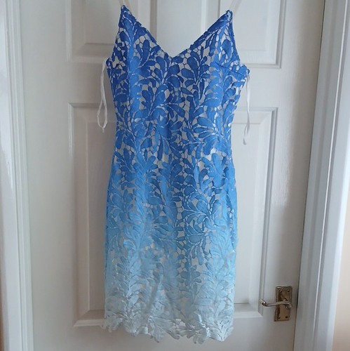 Quiz blue white floral lace - blue, &