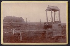 KENNEDY BOY DRINKS from OAK