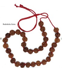 RUDRAKSHA 2,3,4,5,6,7 MUKHI JAPA MALA KANTHA NEPALESE 32+1 COLLECTOR BEADS YOGA 