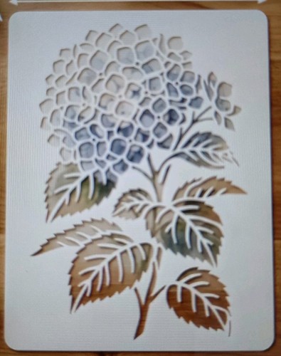 Large hydrangea flower - hydrangea,