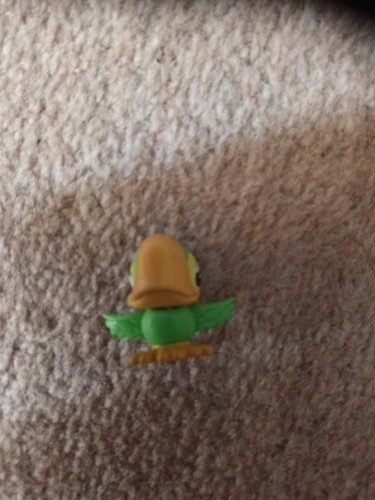 Skully parrot neverland pirate - skully,