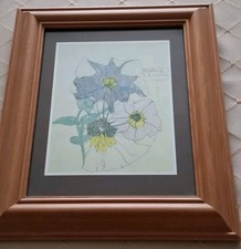  Charles Rennie Mackintosh