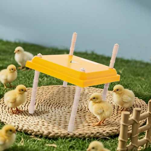 Chick brooder heating plate - chick,