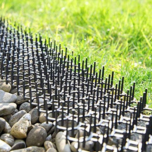 Cat scat mat - 2.9m,