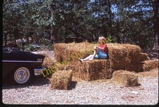 Chevy 210 Blonde Woman Car Hay