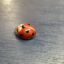 Ladybird - small. Insect