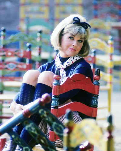 Doris day high - doris,