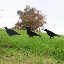 3pc Metal Crow Target Set Free