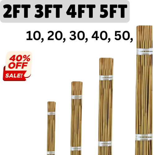 Natural bamboo garden canes - natural,
