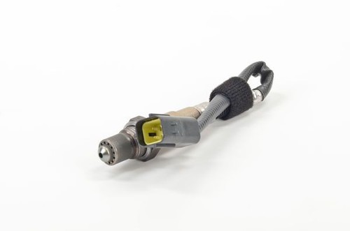Bosch post cat - cat, lambda