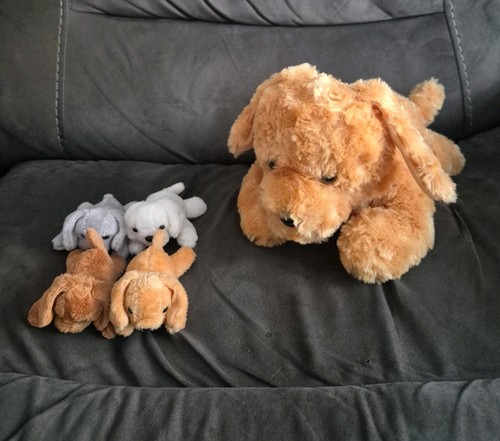 Mummy dog plush with babies - dog,
