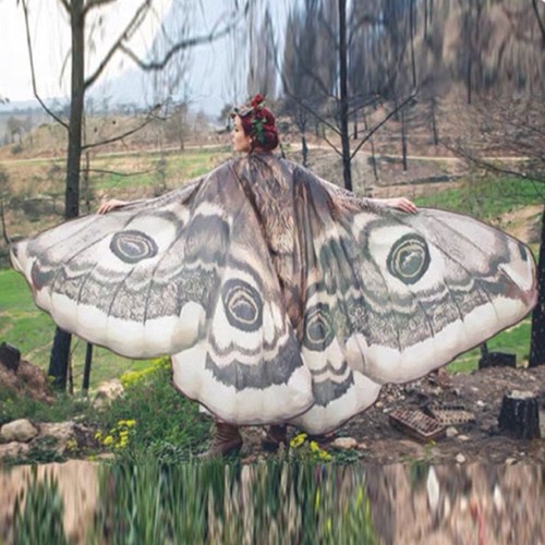 New cosplay butterfly wings - new,