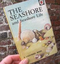 1974 Ladybird- The Seashore and Seashore Life