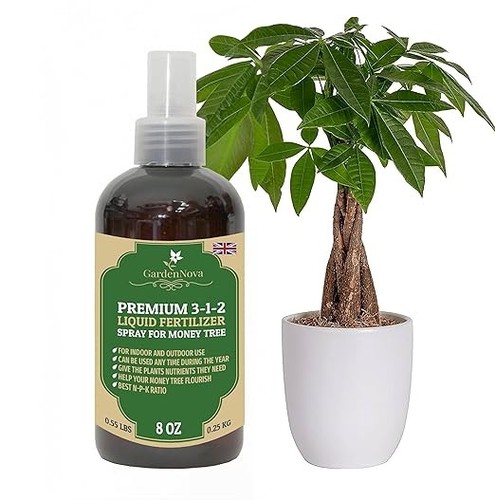 Gardennova money tree liquid - gardennova,