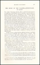 THE STUDY OF THE