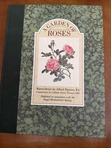 Garden roses - a, of