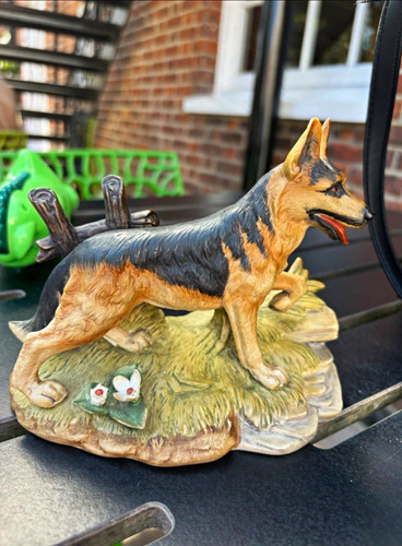 Alsatian german shepherd - shepherd, dog