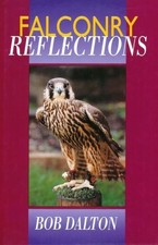 Falconry Reflections by