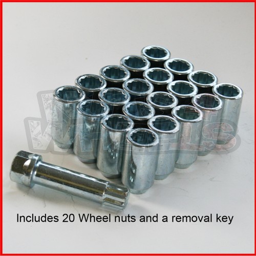 Chrome tuner wheel - nuts, 20