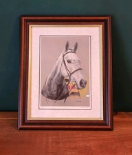 One Man Equine Portrait Horse
