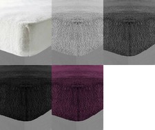 Teddy Bear Thermal Fitted