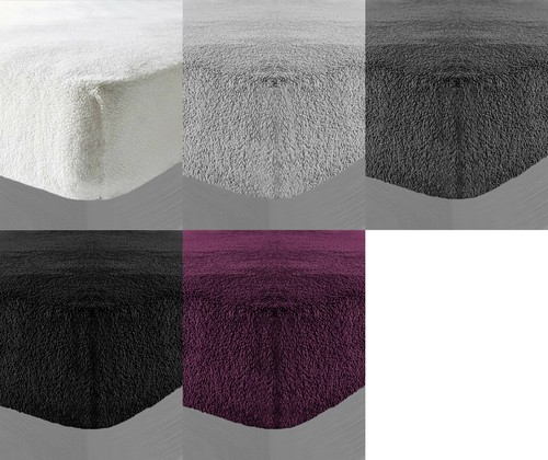 Teddy bear thermal fitted - bear,