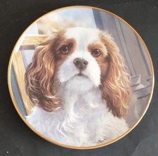 Five Danbury Mint Plates Cavalier King Charles Spaniels With Certificate's