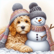 Cockerpoo , Snowman Greyhound