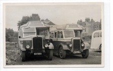 Postcard-size photograph of