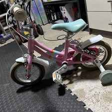 Raleigh 12” inch Pop Pink